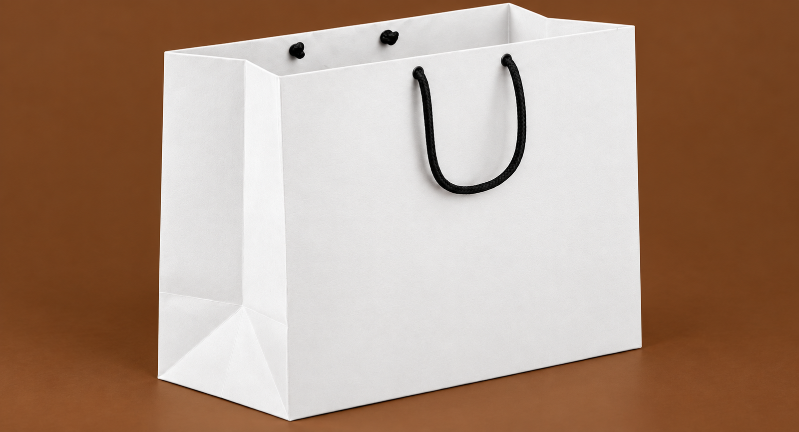 Rope Handle Paper Bag 12H × 14W x 5G