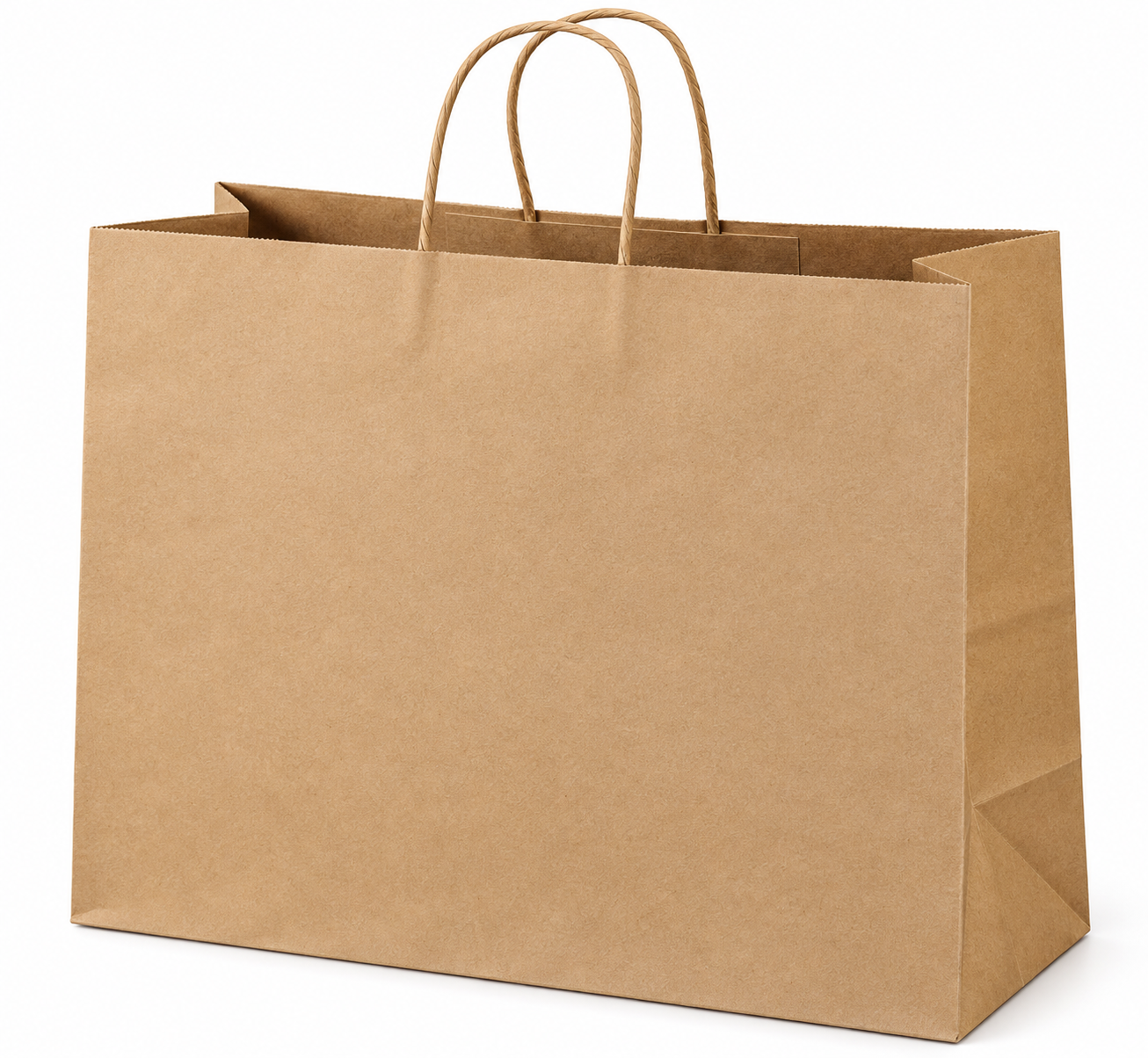 Shoe bag 15H x 11W x 4G